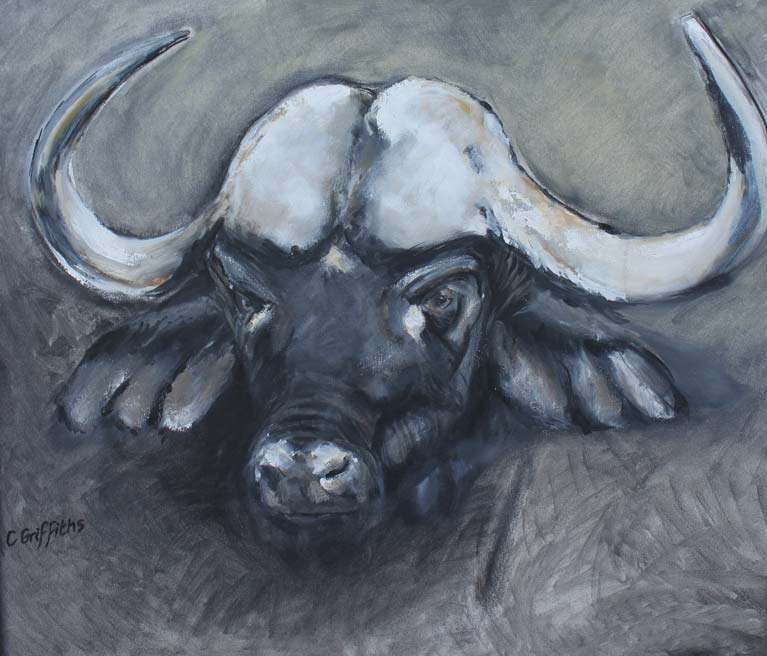 Water Buffalo by Carol Griffiths, ArtworkSale