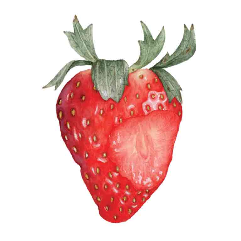 Red Strawberry Bite by Kelsey P. Snyder, ArtworkSale,