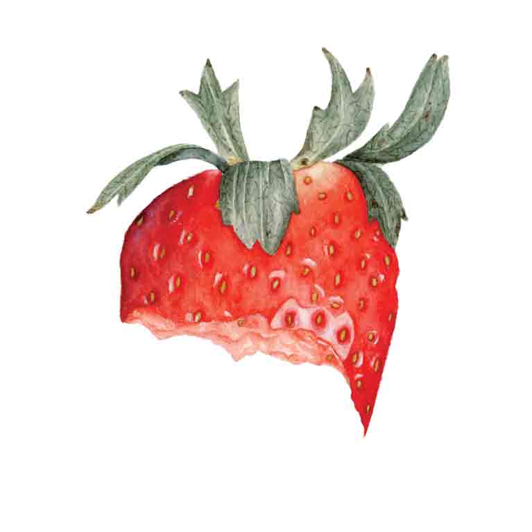 Red Strawberry Yum by Kelsey P. Snyder, ArtworkSale