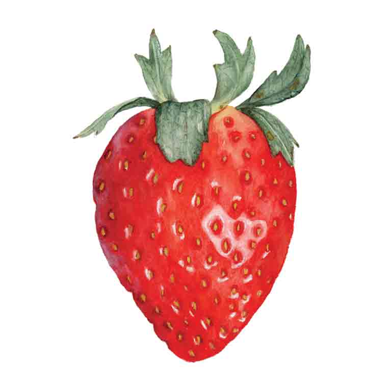 Red Strawberry by Kelsey P. Snyder, ArtworkSale