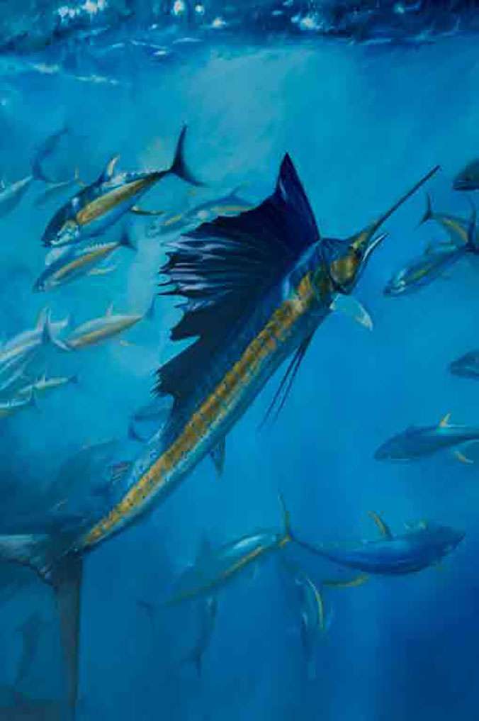 Costa Rica Sail by Walt Peterson, ArtworkSale