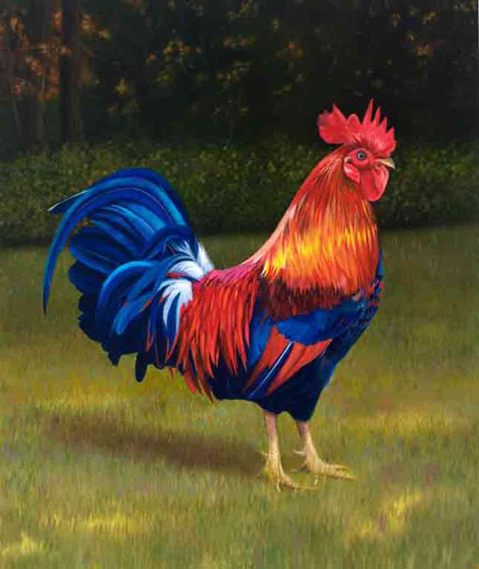 Rooster by Walt Peterson, ArtworkSale