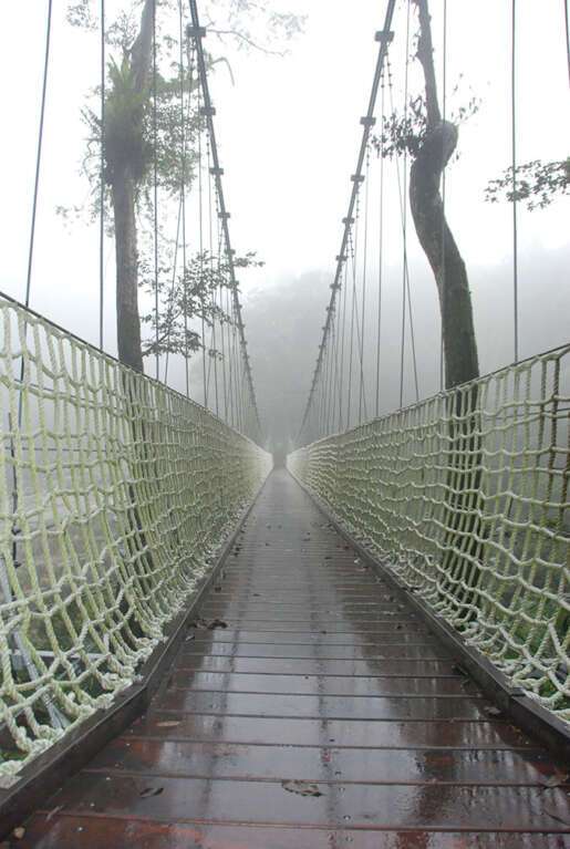 Bridge to Nowhere by Patrick Henning, ArtworkSale