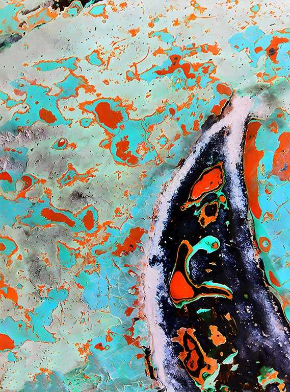 Black Rhino by Alex Deiser, ArtworkSale