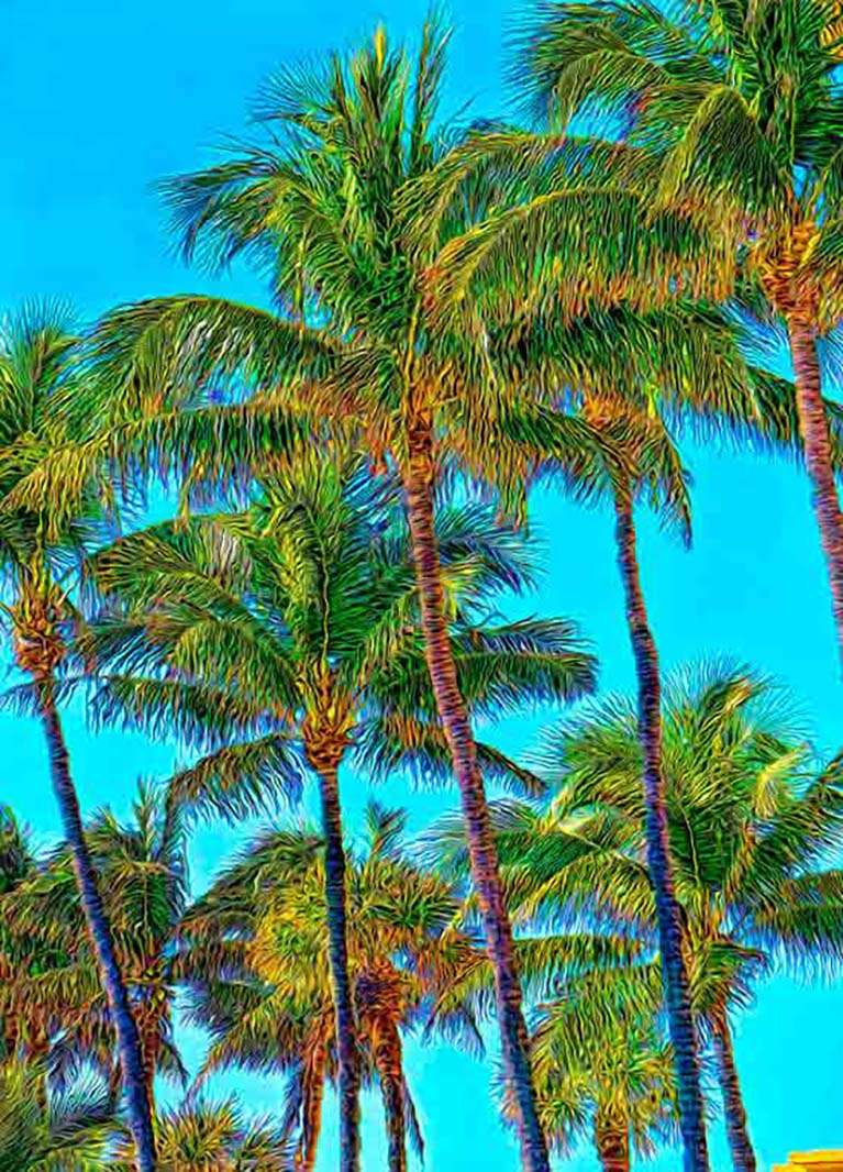 Palm Trees by Martin Fine, ArtworkSale