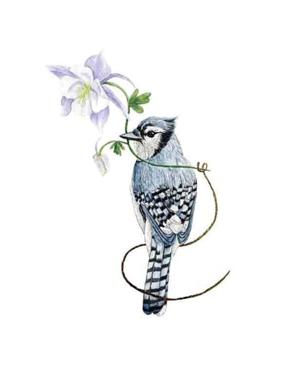 Blue Jay by Kelsey P. Snyder, ArtworkSale