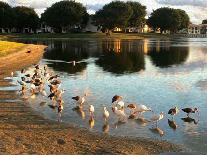 "Feeding Time" by Robin Roslund