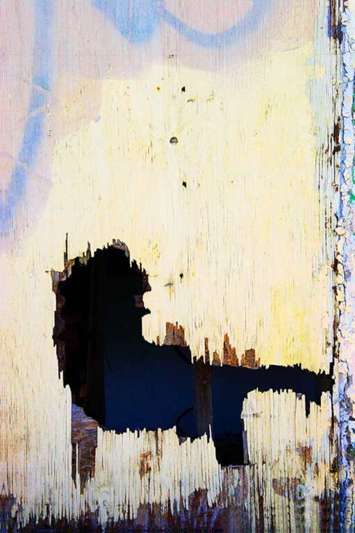 Blue Dog by Alex Deiser, ArtworkSale