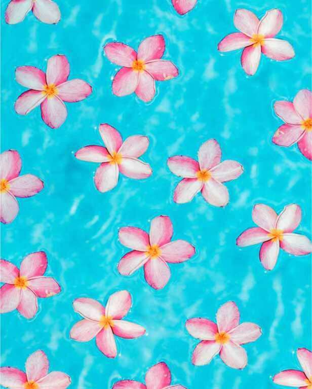 Floating Frangipanis by Emma Putney, ArtworkSale