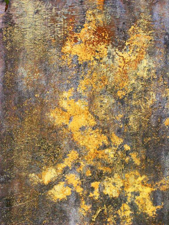 Golden Dragon by Alex Deiser, ArtworkSale