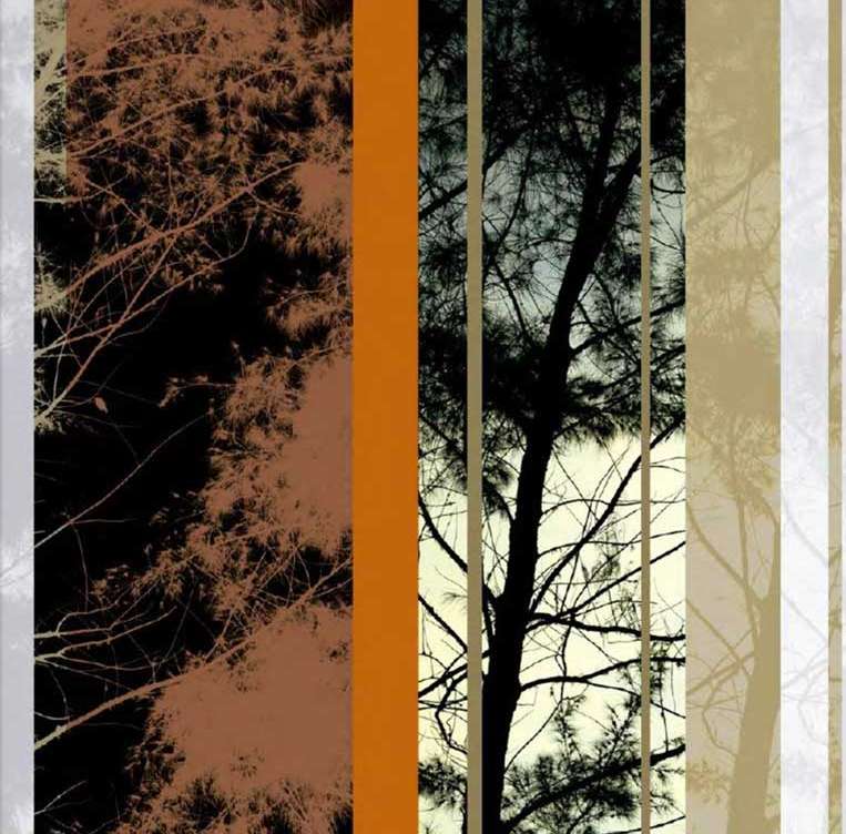 Anachronic Forest by Rafael Ferreira, Silvana Borges Brazilian Art Collection, ArtworkSale