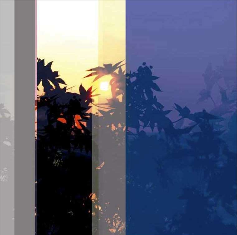 Daily Sunset by Rafael Ferreira, Silvana Borges Brazilian Art Collection, ArtworkSale