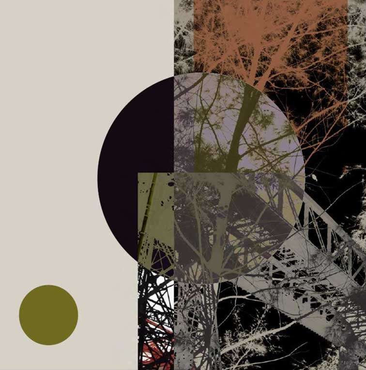 Iron Nature by Rafael Ferreira, Silvana Borges Brazilian Art Collection, ArtworkSale