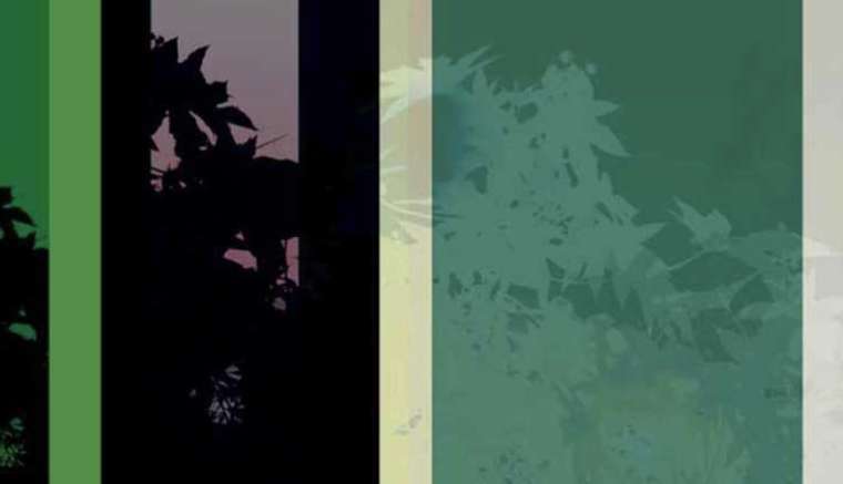 "Memory Green" by Rafael Ferreira, Silvana Borges Brazilian Art Collection, ArtworkSale