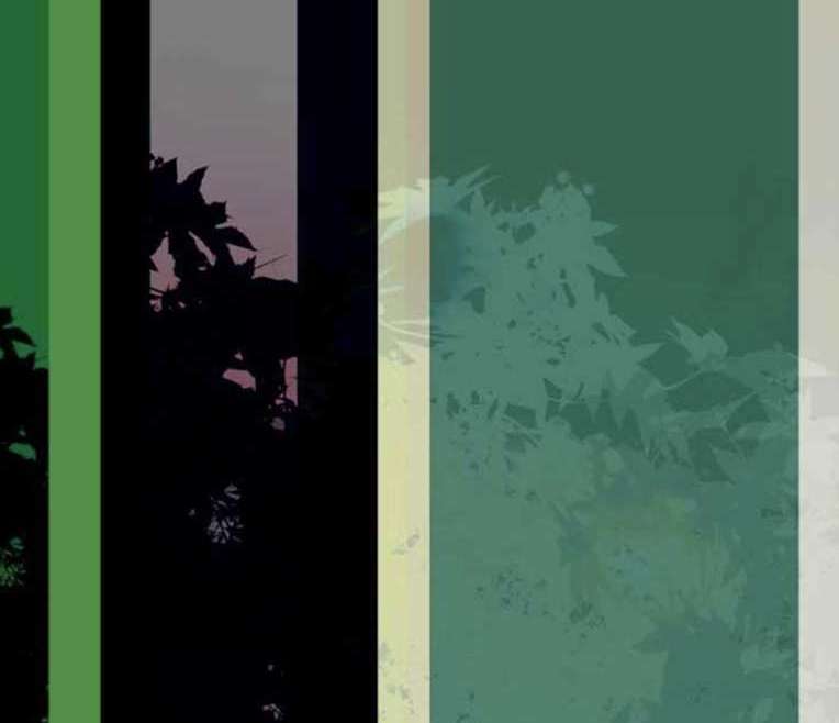 "Memory Green" by Rafael Ferreira, Silvana Borges Brazilian Art Collection, ArtworkSale