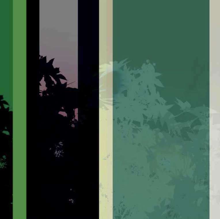 "Memory Green" by Rafael Ferreira, Silvana Borges Brazilian Art Collection, ArtworkSale