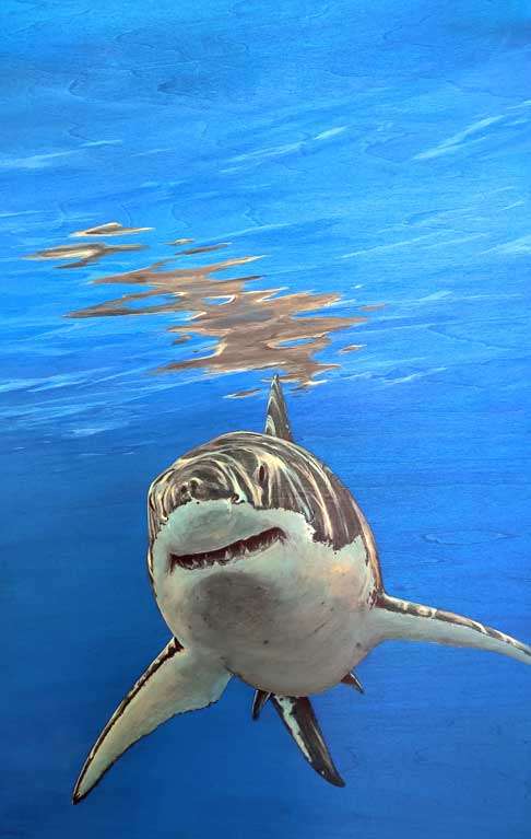 Music - Great White by Eddie Forbes, ArtworkSale