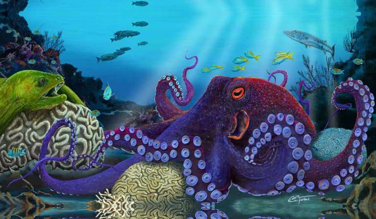Taco Reef by Eddie Forbes, ArtworkSale