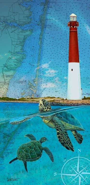 Two Turtles by Eddie Forbes, ArtworkSale