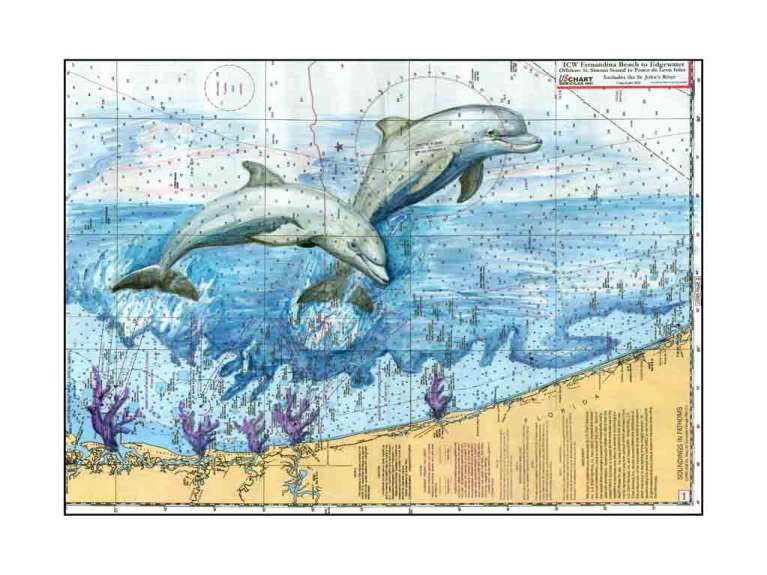 Jacksonville Dolphins by Carly Mejeur, ArtworkSale