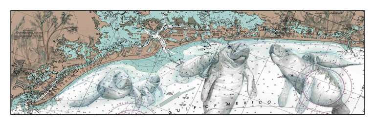 Manatees Mamy by Carly Mejeur, ArtworkSale