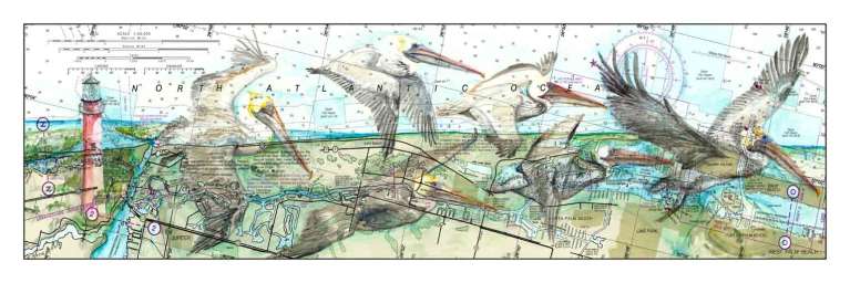 Pelican Flock by Carly Mejeur, ArtworkSale