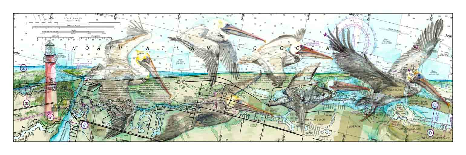Pelican Flock by Carly Mejeur, ArtworkSale