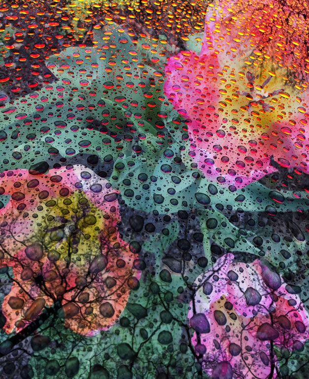 Flower Rain by Bonnie Levinson, ArtworkSale