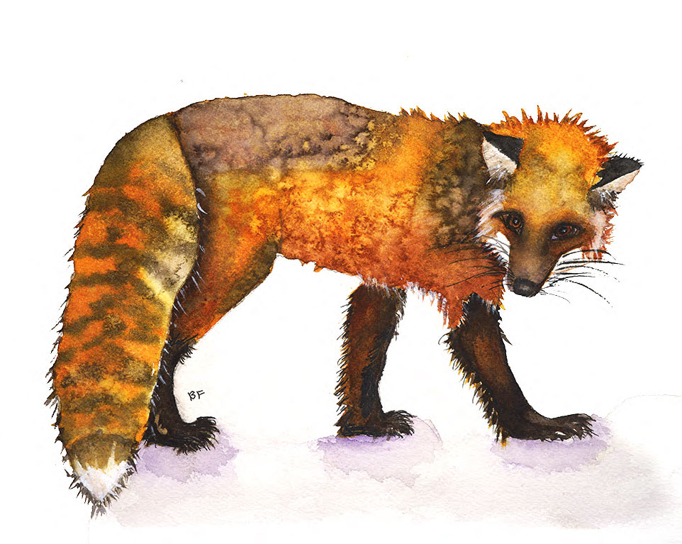 Foxy by Barbara Friend, ArtworkSale