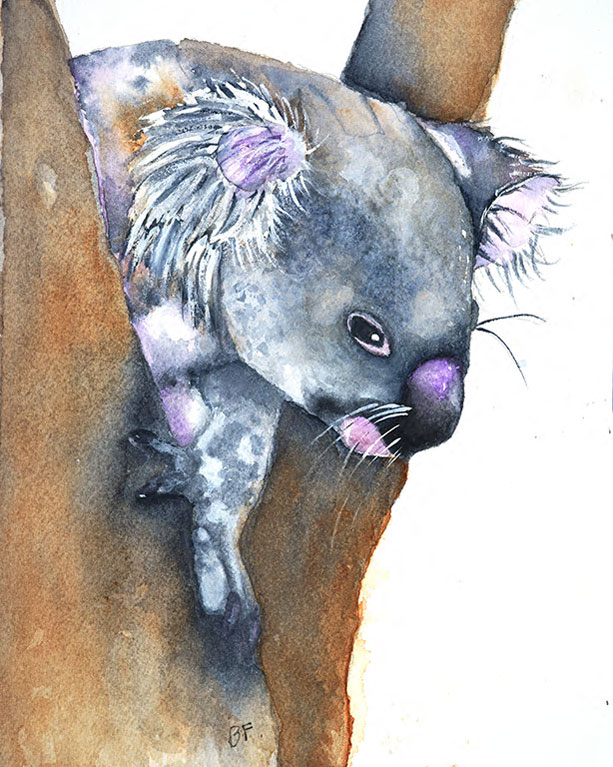 Koala by Barbara Friend, ArtworkSale