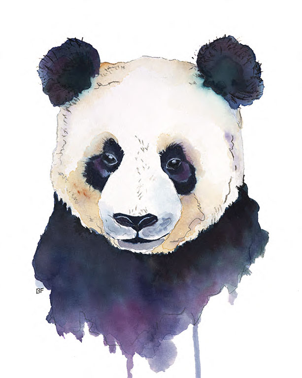 Panda by Barbara Friend, ArtworkSale
