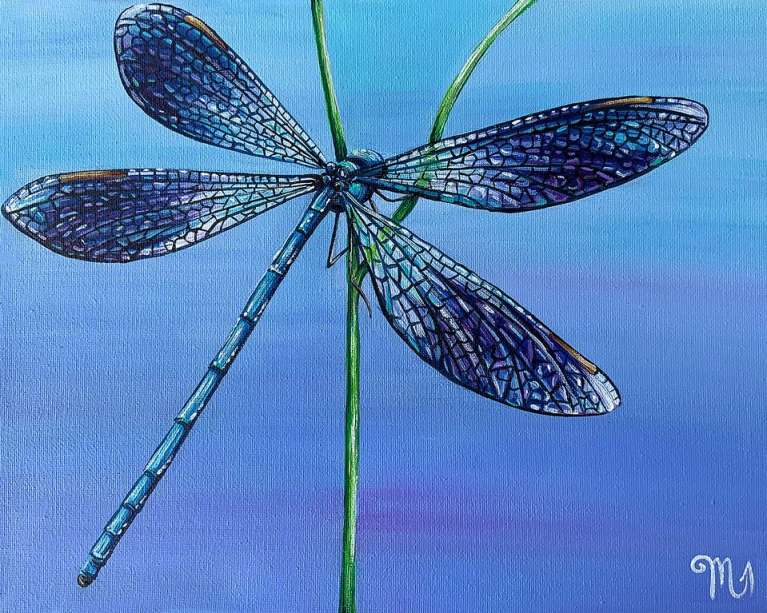 Dragonfly